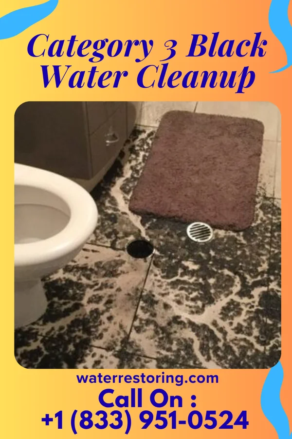 Category 3 Black Water Cleanup in Preston, MO